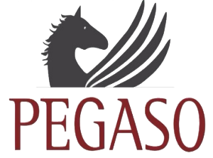 Laurea telematica pegaso